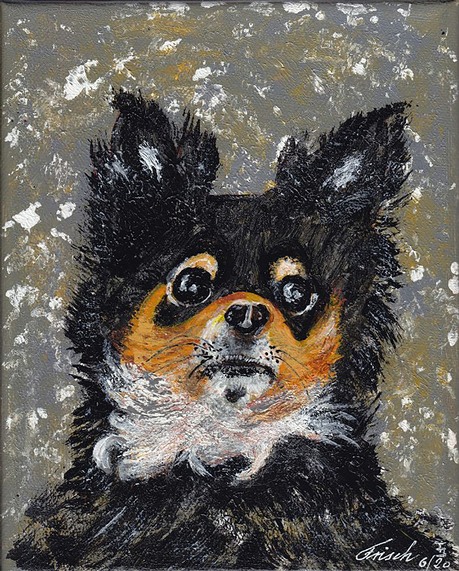 488_Julian's Chihuahua Nero.jpg