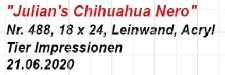 488_Julian's Chihuahua Nero.jpg
