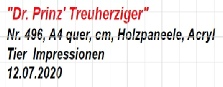 496_Dr. Prinz' Treuherziger.jpg