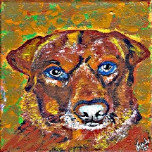 558_Petra Fellner's Oskar.jpg