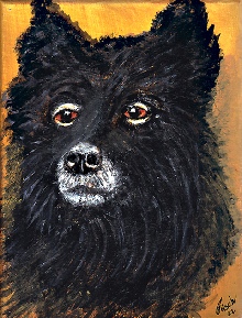 717_Melody Putz (Wolfspitz).jpg