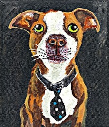 766_Point Arslaner.jpg