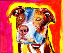 793_Mein Name ist Point.jpg