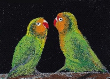 285_Papageienpark Funchal_0002.jpg