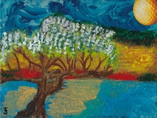 306_Lagoa do Fanal.jpg